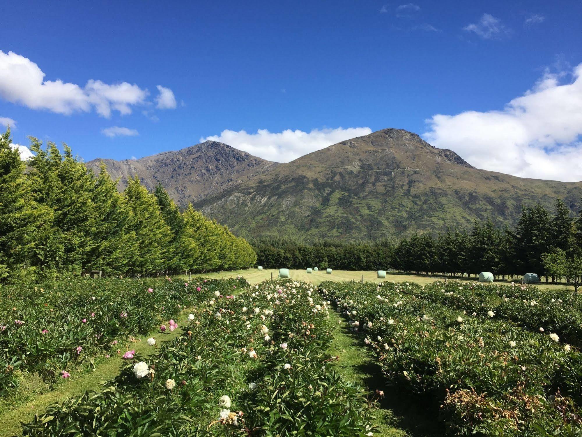 Queenstown Country Lodge Lake Hayes Exteriér fotografie